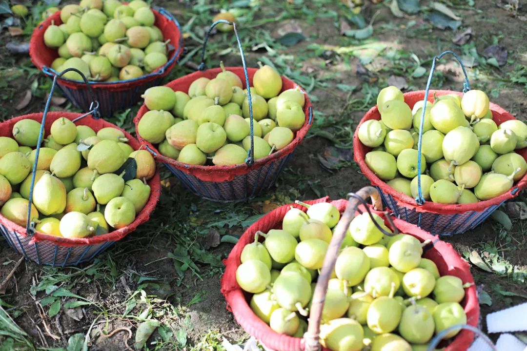 苏州女子探秘南疆巴州：这是一处色彩的世界，超出你的想象