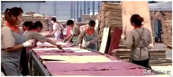 2分钟教你读懂板材,胶合板的质量要求