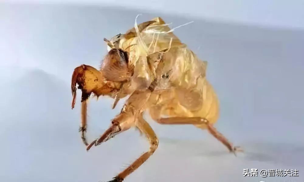 晋城市内古建遗址,晋城古县城