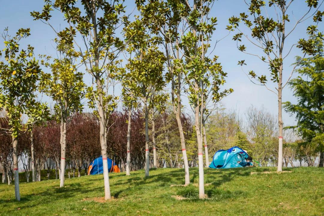 郑州亲子游户外公园十大排行榜,郑州免费适合遛娃玩的公园