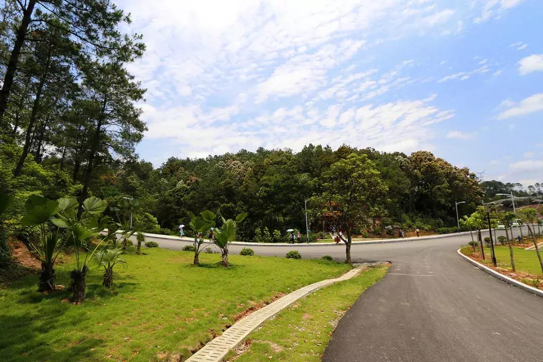 周六宁波市民半价景区,宁波景区免费最新消息