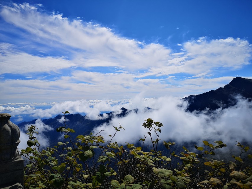 志向是一种力量,愿望的力量