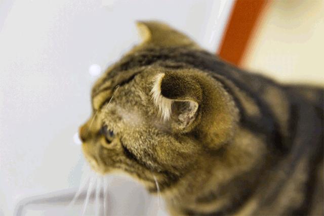 杩涘叆绾康纰戝康纰戣胺,杩涘叆绾康纰戣胺