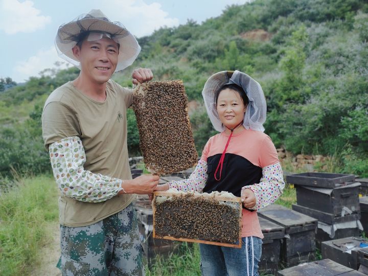 新西兰的蜂蜜好吗,新西兰的蜂蜜品牌排行