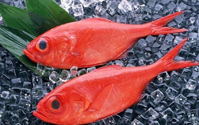 教你10秒消除饥饿感抵挡嘴馋,迅速缓解饥饿的零食