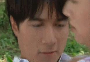 渣男何书桓的电视剧集数 (老版何书桓渣男片段)