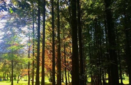 昆明适合拍照的景点有哪些,昆明大理周边旅游景点排名榜前十