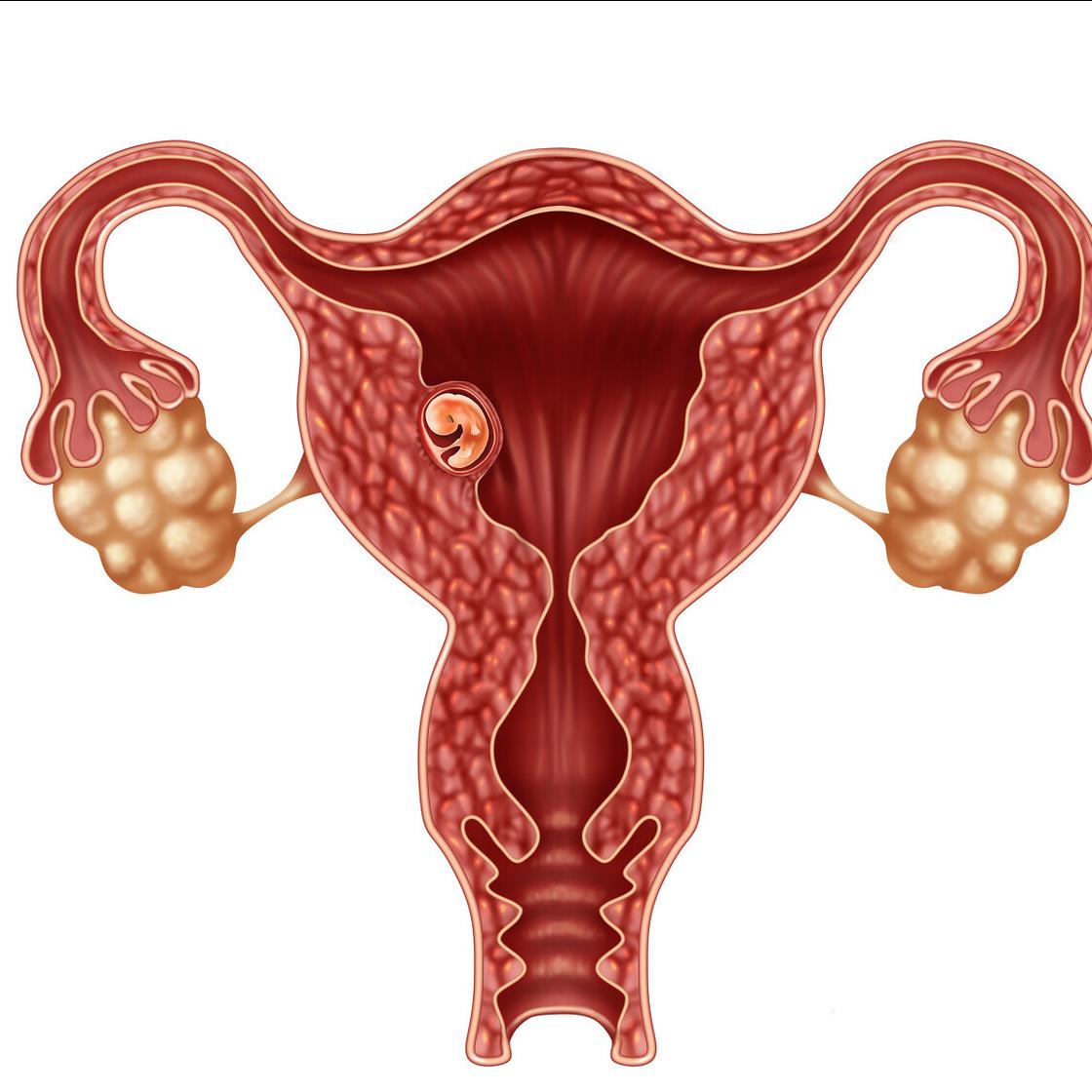 左侧输卵管未见显影怎么办,左侧输卵管未见明显显示什么意思