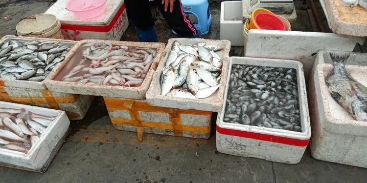 浣犲涔呮病鍘绘捣杈瑰害鍋囦簡,浣犲涔呮病鏈夊嚭闂ㄦ梾娓镐簡