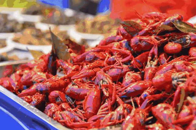 2019元気爆客电子音乐节,元気爆客电音节