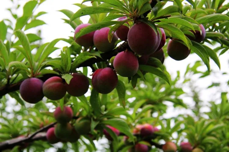 最后30天语文备考方案,工作点滴100字