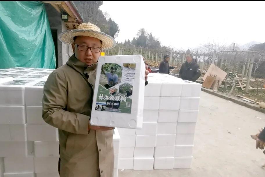 回农村创业成功的故事,在农村创业的创业经历简介