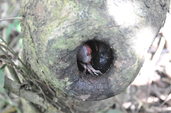 三亚自由行旅游攻略超详细哦,三亚旅游自由行全攻略
