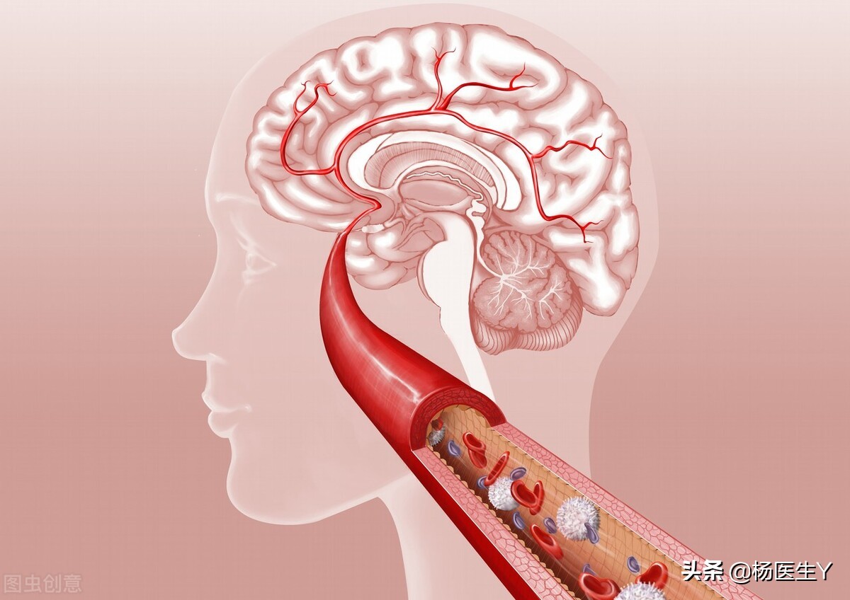 2021欧洲杯丹麦球员突然晕倒,足球欧洲杯心脏骤停