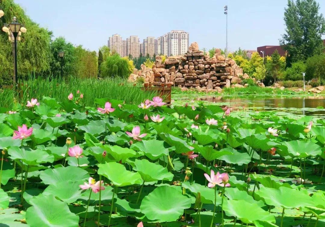 辽宁中医药大学杏林学院有独卫吗,辽宁中医药大学杏林学院属于3+2吗