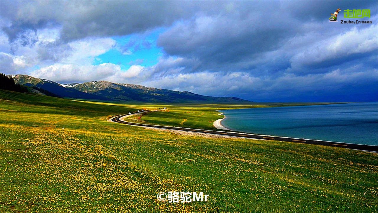 梵高画不出的向日葵,梵高画中的风景