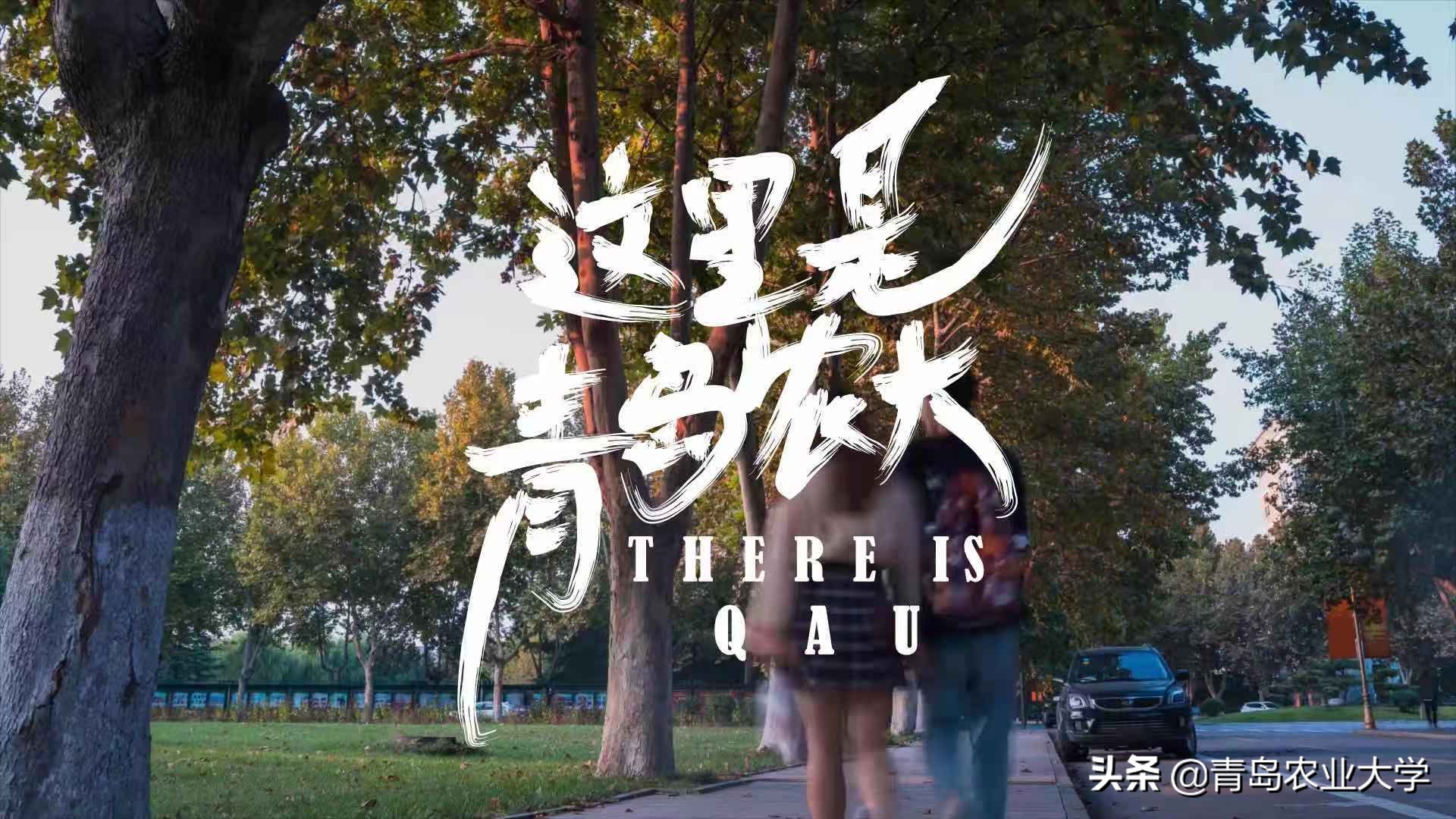 介绍青岛农业大学,令人心动的青岛