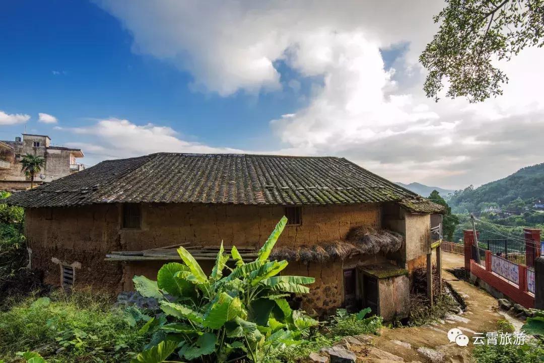 山海闽西南|乐吃、乐游、乐开怀！带上这份攻略，玩转云霄白石村~