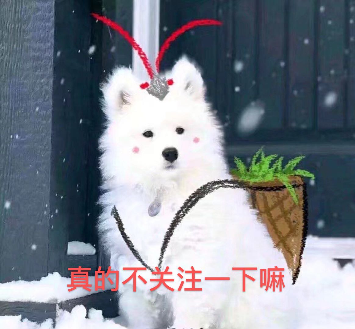 辛巴为燕窝事件鞠躬道歉眼眶泛红,辛巴回应燕窝事件