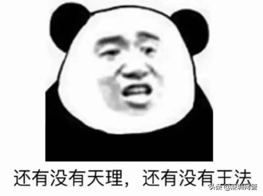 网赌黑幕,网赌害人害己输1000万的真实故事