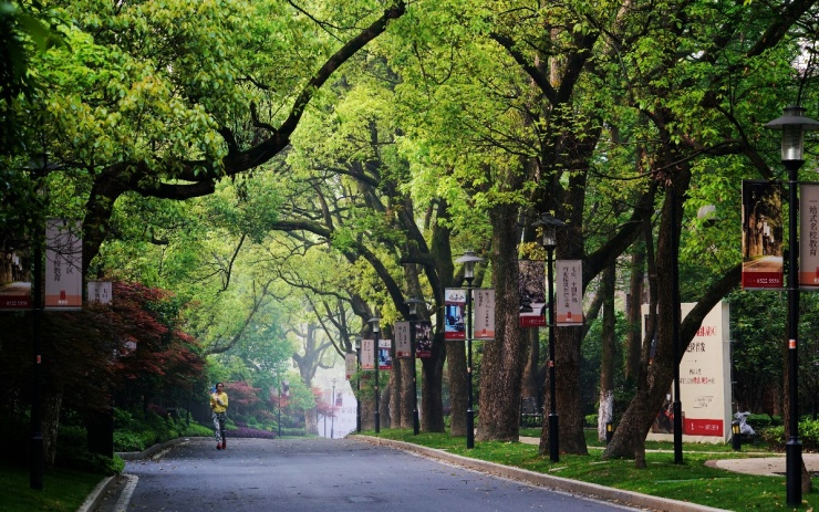 盘点史上最全中国各城市市花,中国各个地方的市花