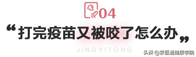 被猫狗抓伤咬伤怎么办,被猫狗抓伤第一步应该怎么处理