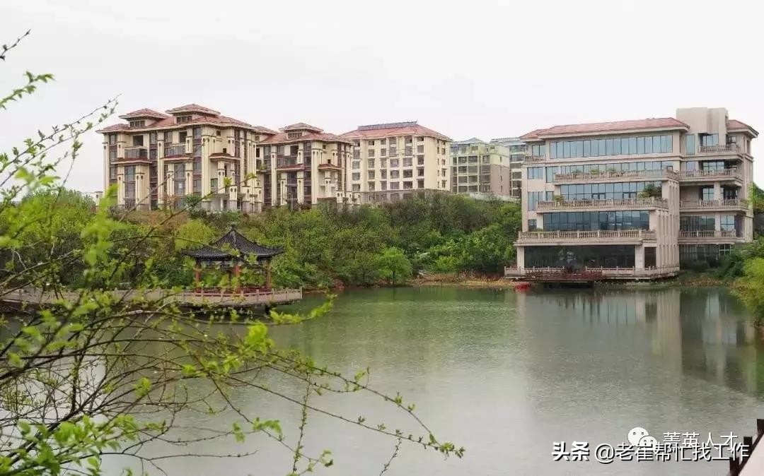 五征厂招聘,2023五征集团招聘