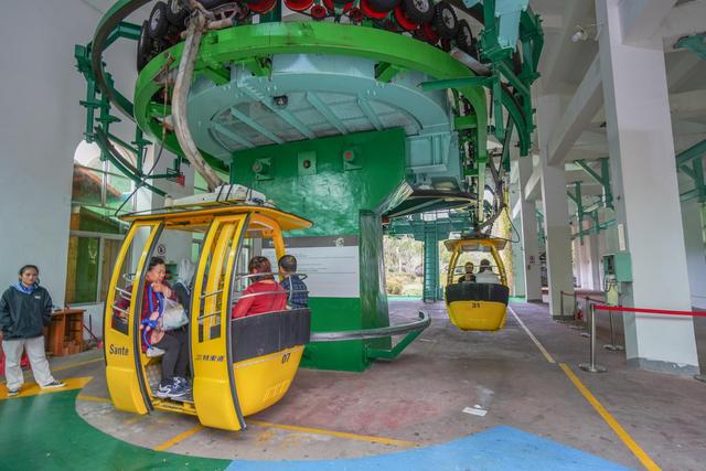 海南陵水猴岛有猴子吗,现在陵水猴岛猴子多不多