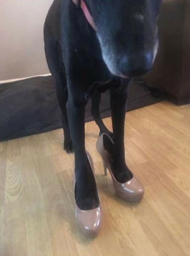 网上卖的二手女高跟鞋,女生高跟鞋二手鞋出售