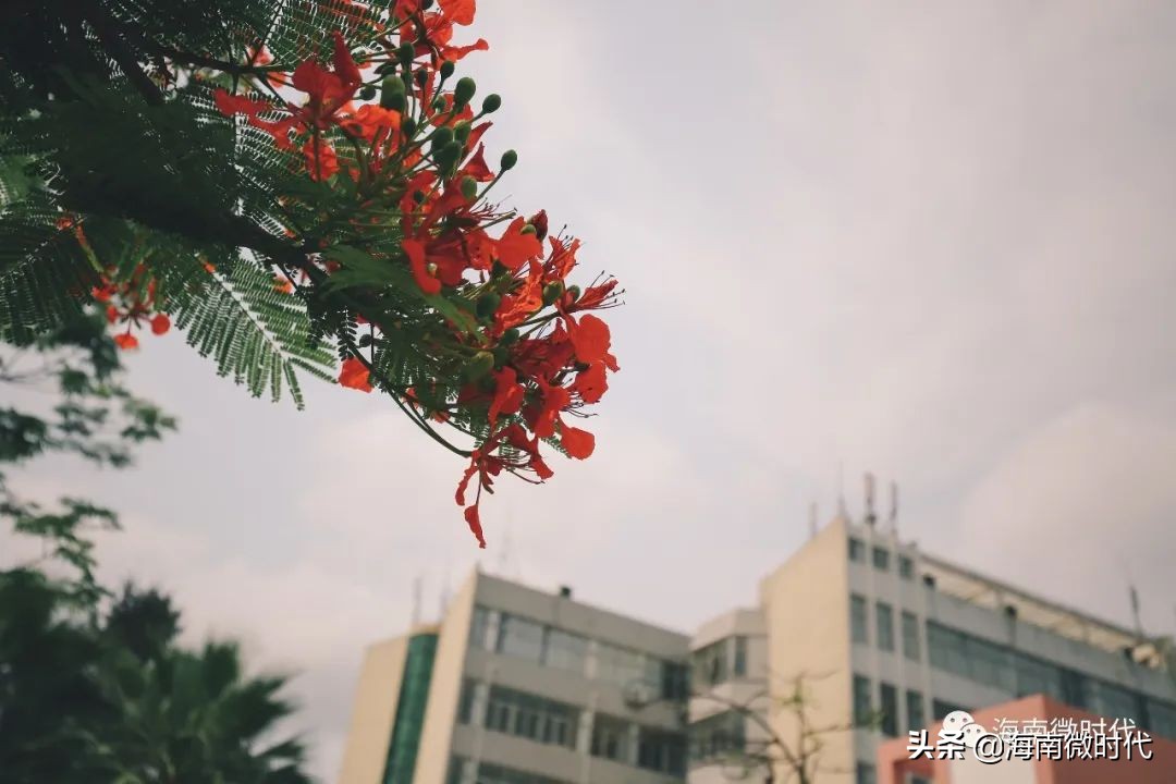 海南大学啥时候开学,海南大学开学需要带被子吗