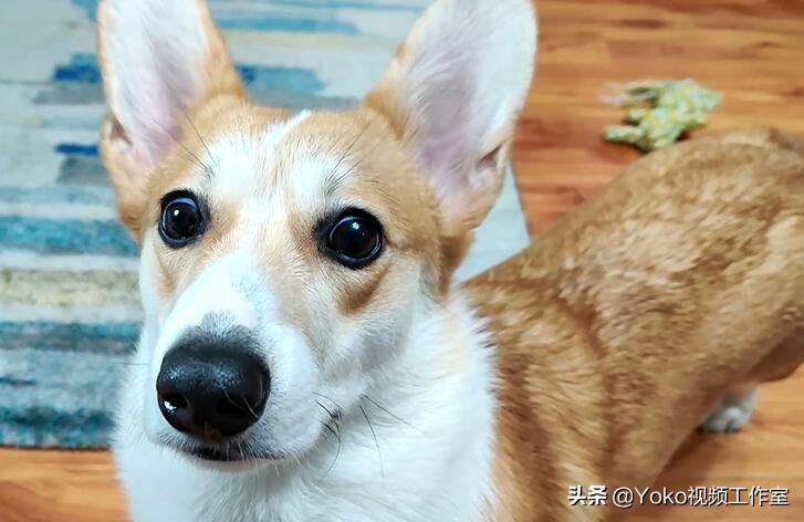 联想小新air15和华为matebook15,联想小新air15值得购买嘛