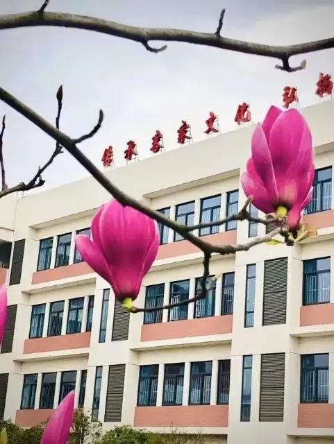 五年级下册第一单元的讲解视频,闽教版五年级下册第一单元partb