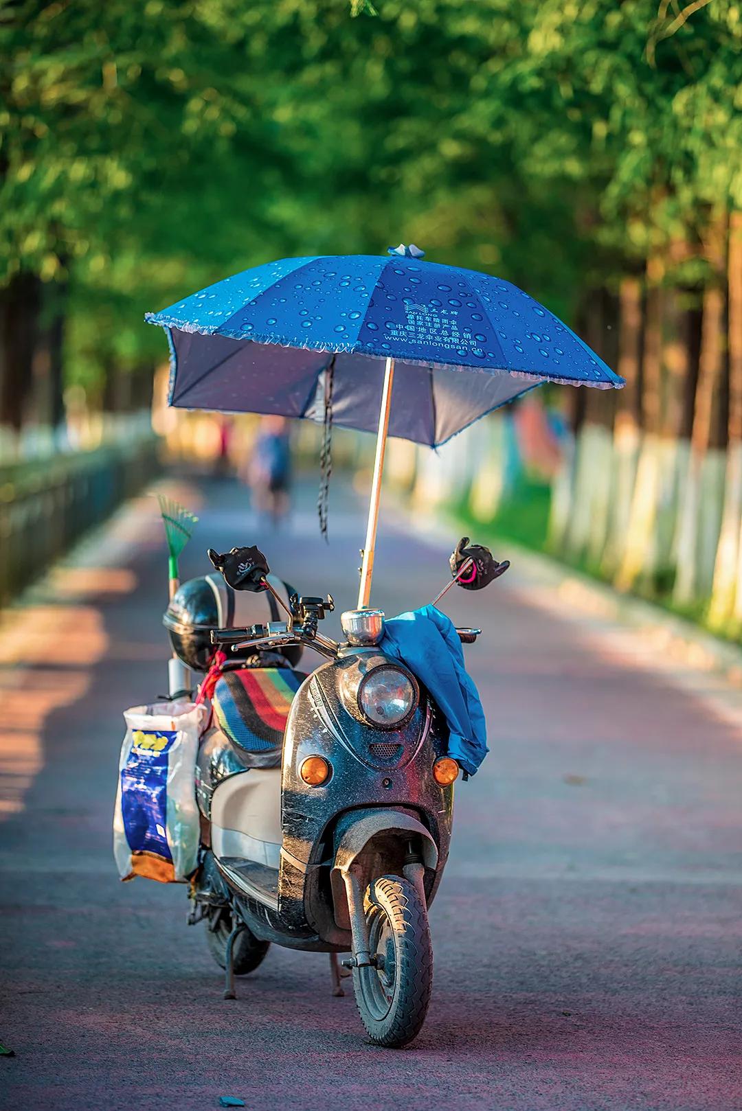 郫县是怎么发展起来的,郫县区为什么这么出名