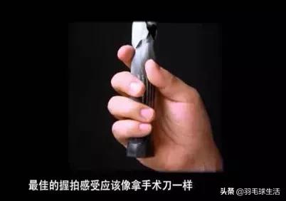 羽毛球十个知识,羽毛球基础知识100例