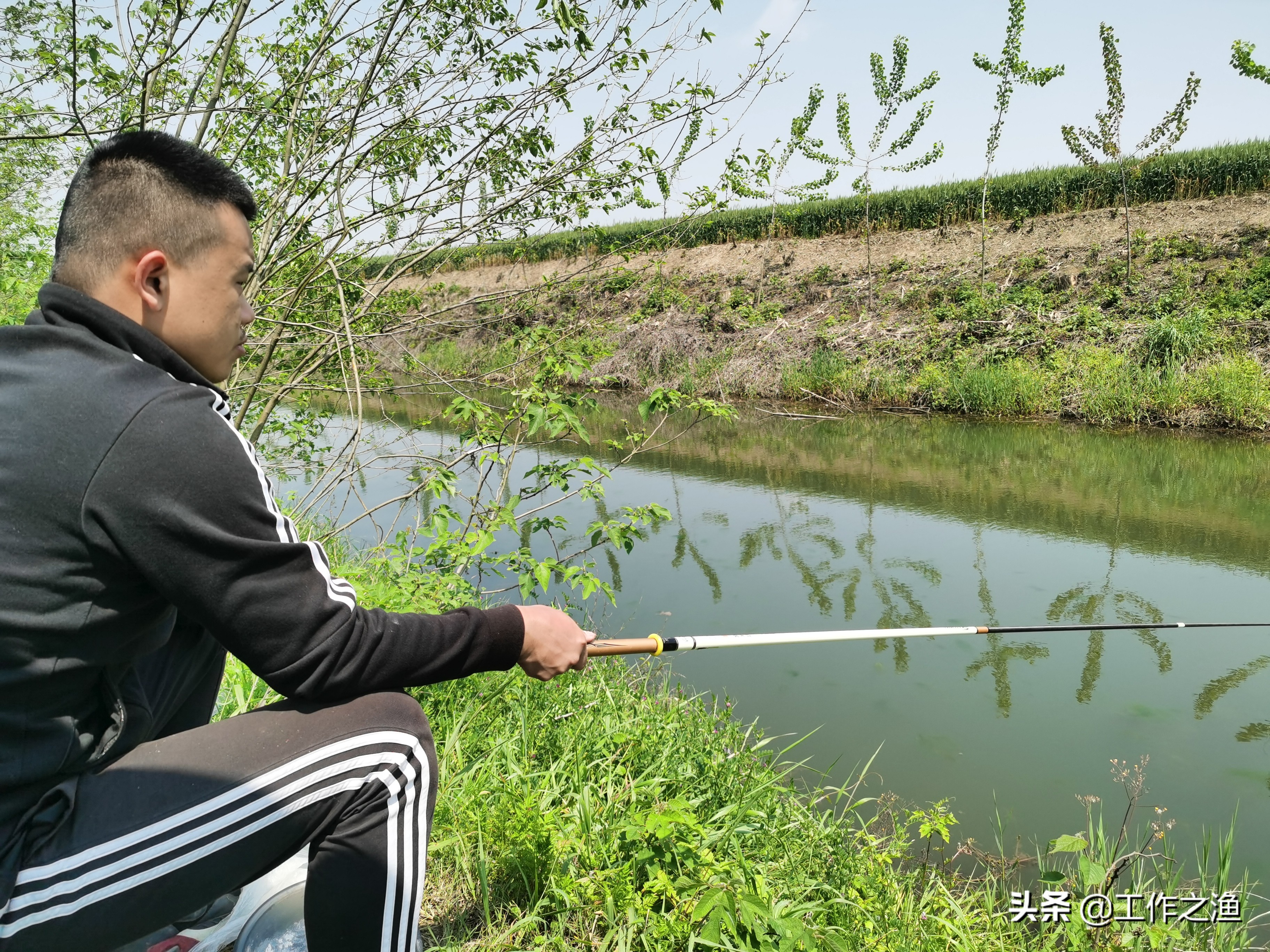 野钓麻将鲫的一些个人小建议,麻将鲫多的地方怎么钓大鲫鱼