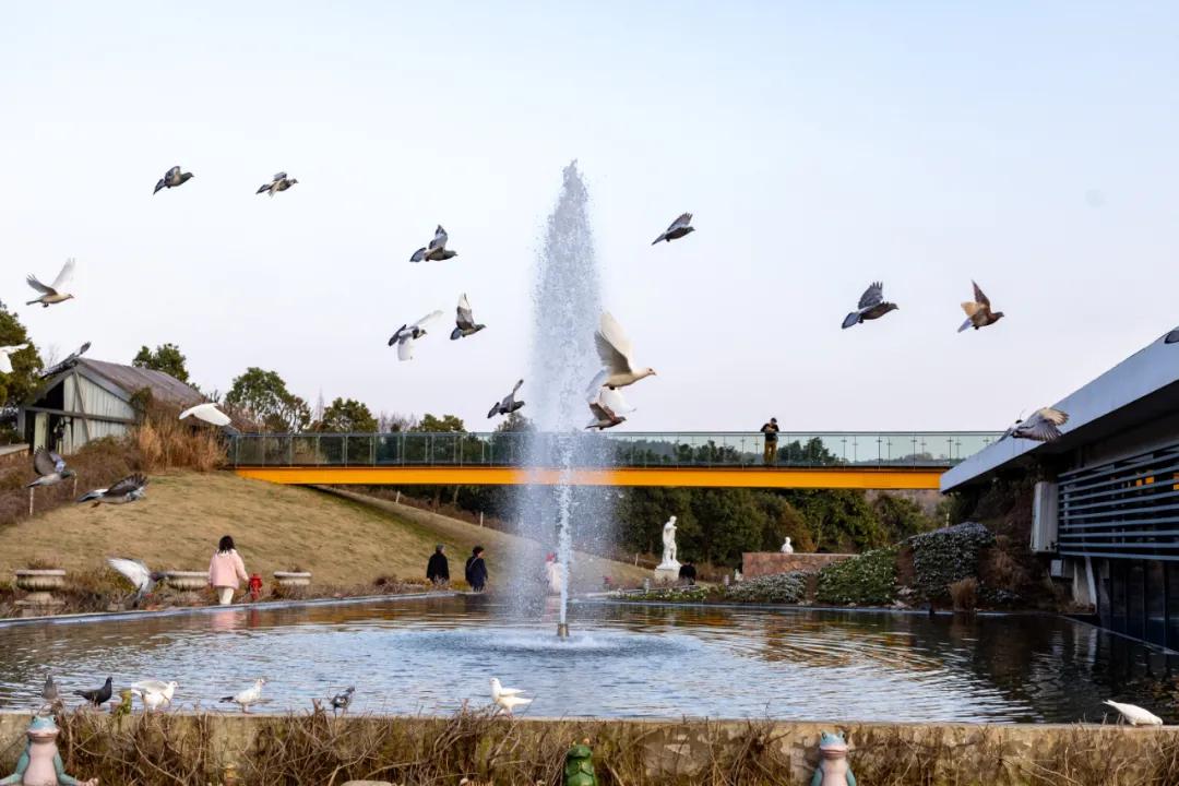 苏州小众却很棒的地方,五一来苏州必去的打卡地