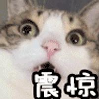 武汉人这件事要注意了！关系到你的生活、出行……