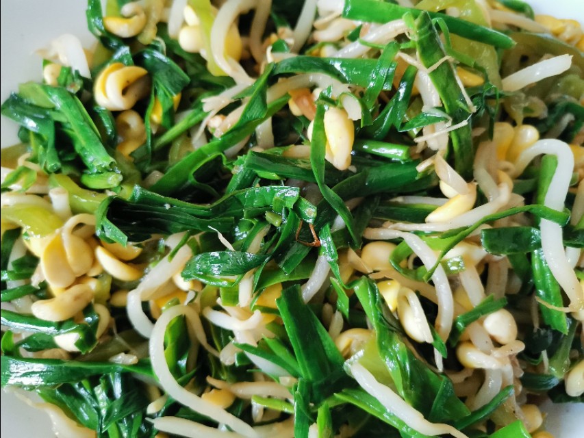 当韭菜邂逅黄豆芽,就变成了“黄鸟钻翠林”,居然是一道家常菜