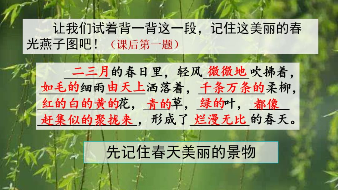 语文三年级下册燕子课文解析,三年级语文下册第2燕子课文重点