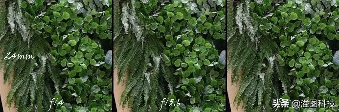 佳能rf351.4镜头评测,佳能rf14-35mmf4拍摄效果