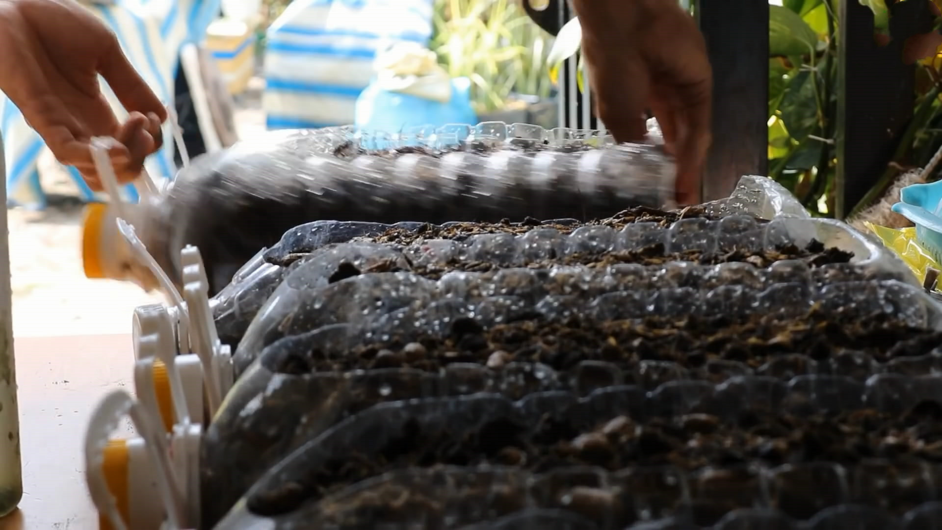 用完的油桶不要扔,废油桶种菜制作几种方法