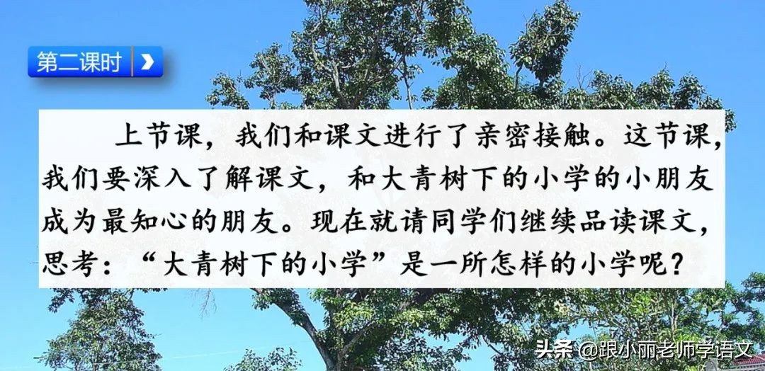 大青树下的小学重要背诵内容,大青树下的小学必会知识点