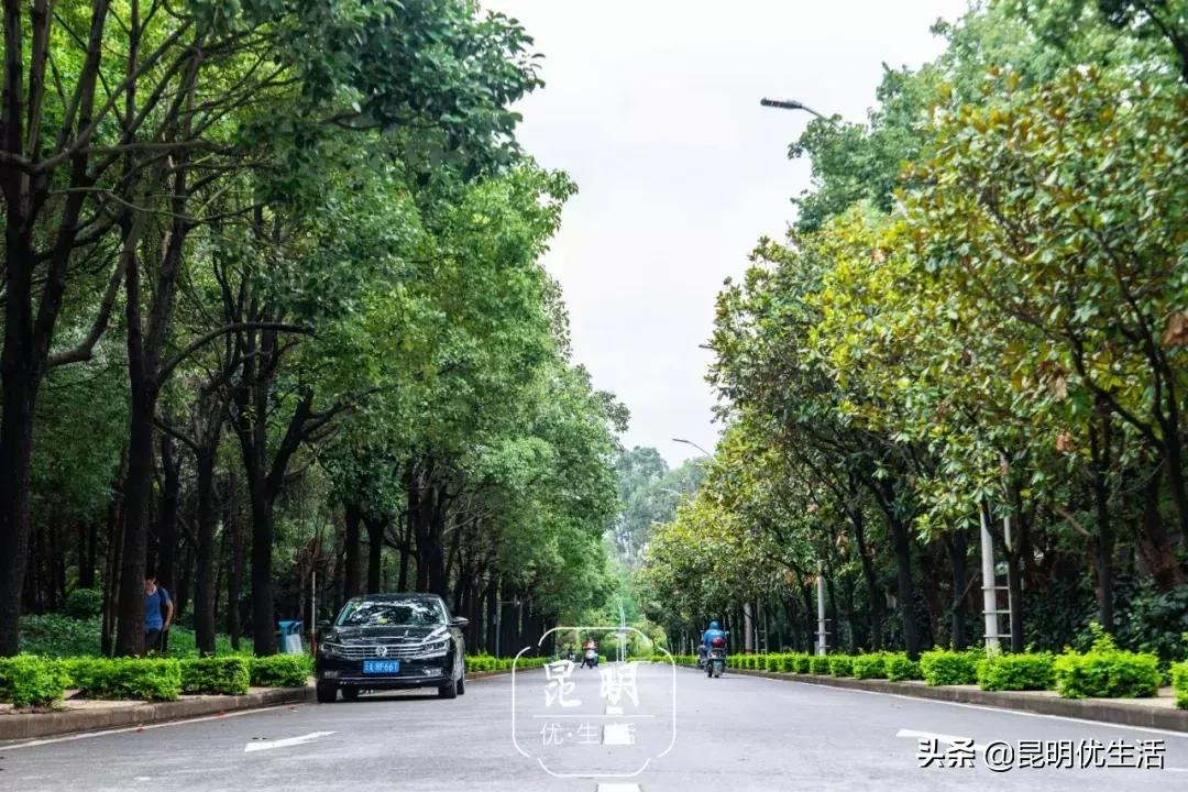 我眼中的云南财经大学,母校云南财经大学