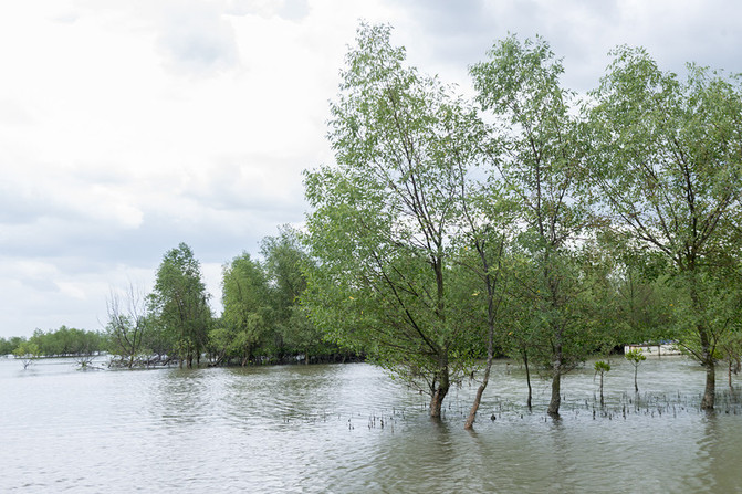 在这个阳光明媚的春季,在这个阳光灿烂的日子里