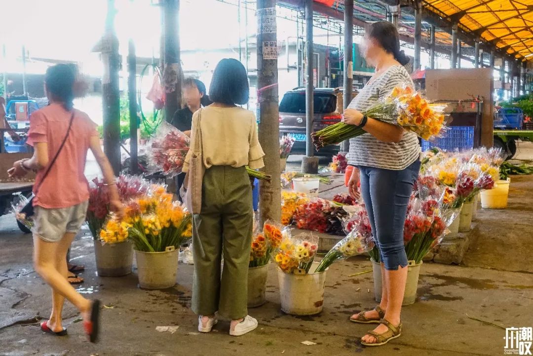 广州最大的花卉市场有哪些店,广州最便宜的花卉交易市场