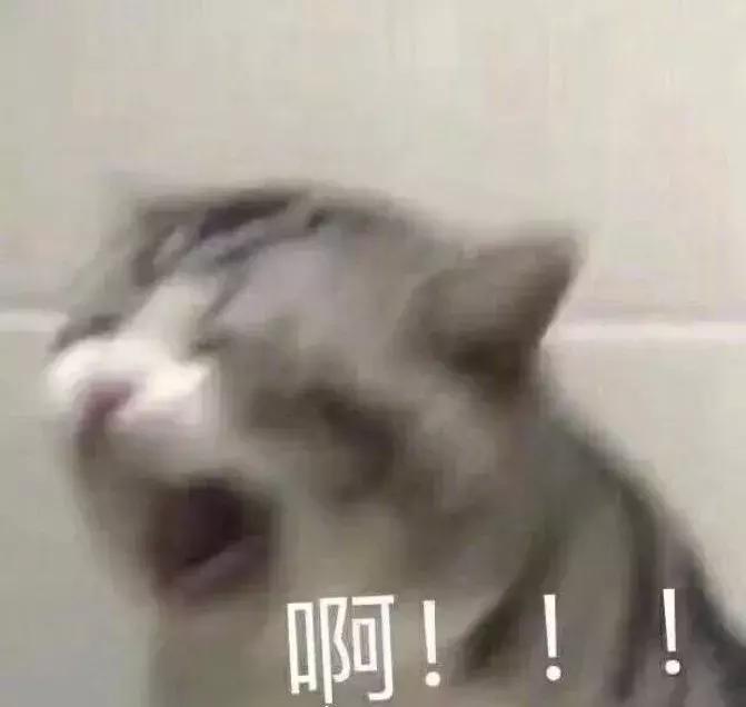 100元和500元的高跟鞋,100元的鞋和500元的鞋差距