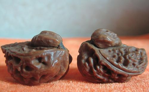 文玩核桃详解,转载分享知识