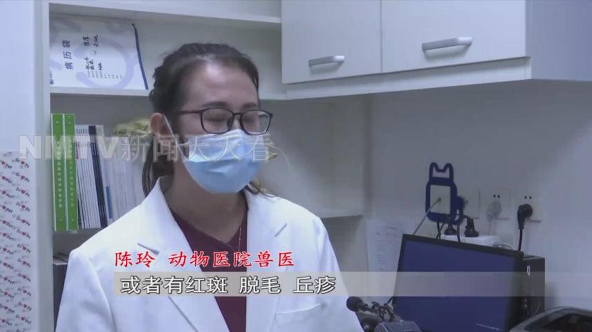 呼和浩特一女子花1500元买了只小猫，几天后孩子身上竟出了红疹？！女子投诉猫舍职能部门介入