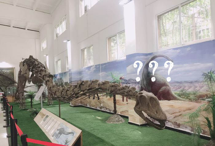 *弹子**、开枪、米米、锤子、孩子……外地人搞不懂的四川方言