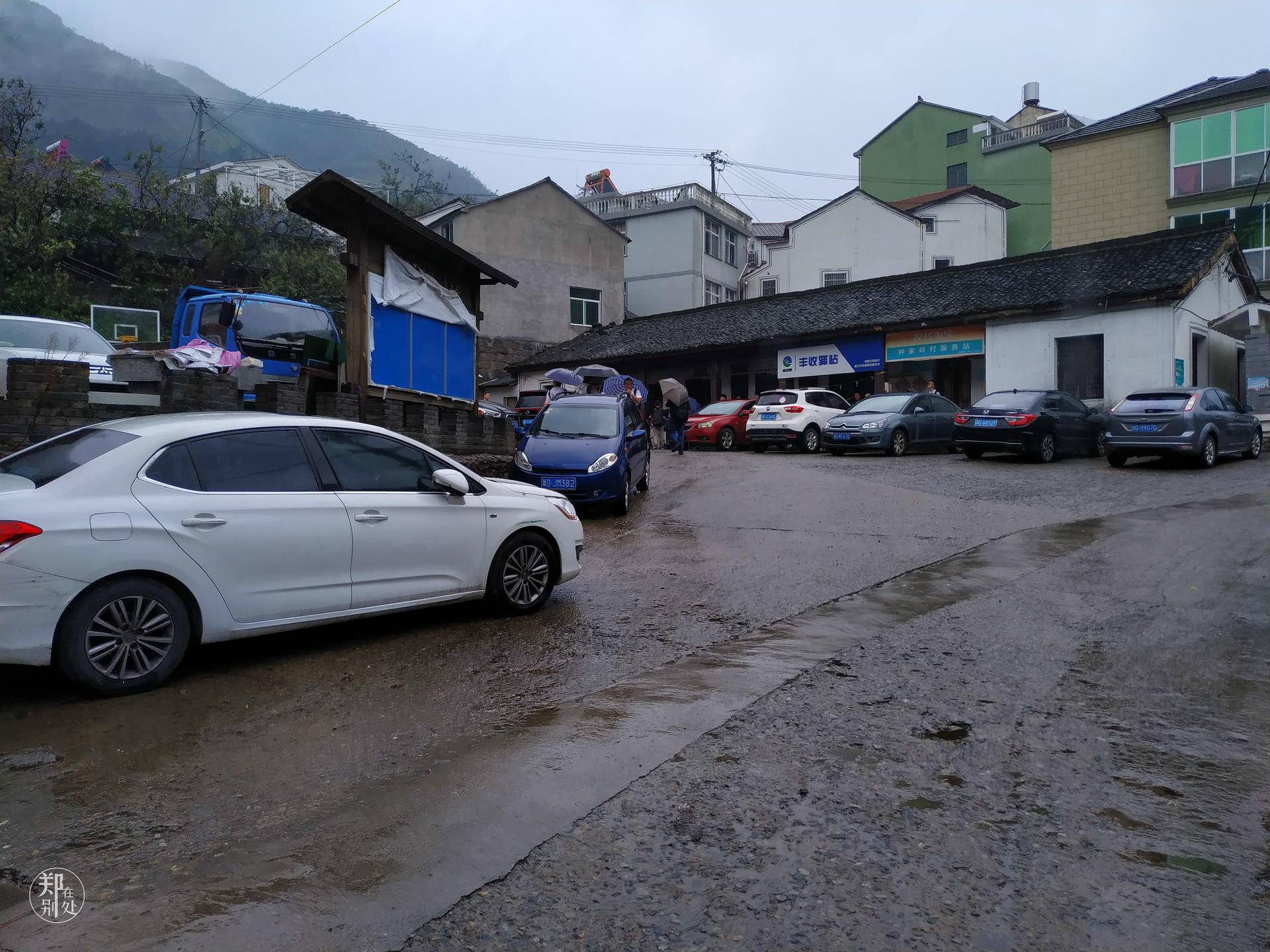 香榧古道,香榧古道徒步路线哪条景色美